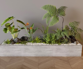 Modern Flower Bed, Flower Bowl, Flower Box-ID:141822107