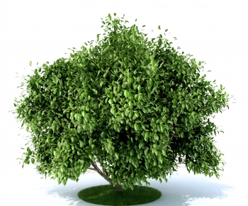 Modern Tree-ID:212347984