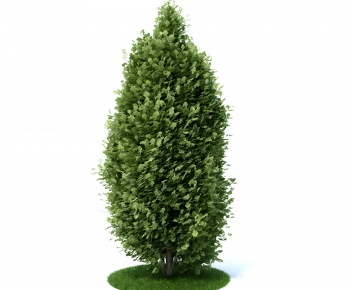 Modern Tree-ID:559467085