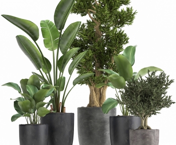 Modern Ground Green Plant Potted Plants-ID:488847027