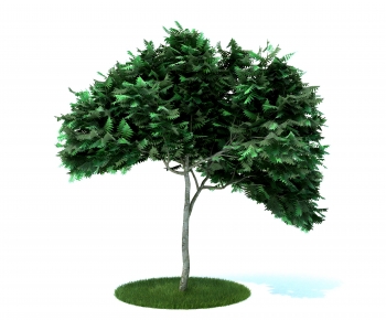Modern Tree-ID:696201093