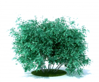 Modern Tree-ID:270716916