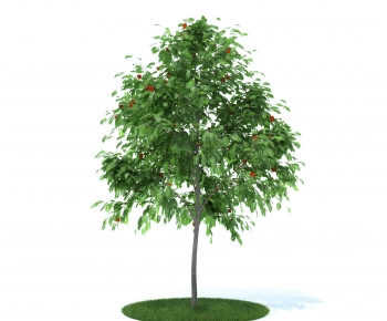 Modern Tree-ID:963299994