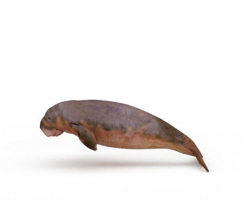 Modern Aquatic Animals-ID:381908893