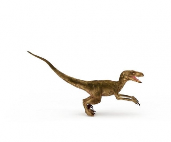 Modern Other Animals-ID:800344949