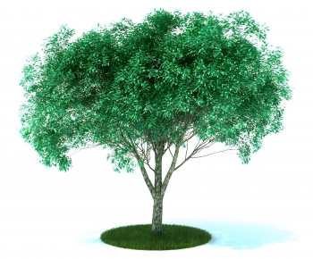 Modern Tree-ID:446844103