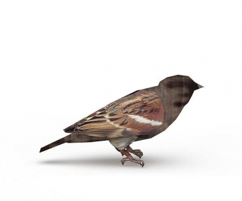 Modern Flying Animals-ID:878108028