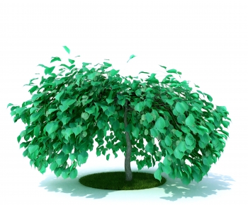 Modern Tree-ID:513119942