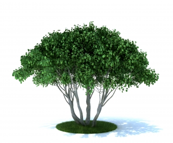 Modern Tree-ID:313716899