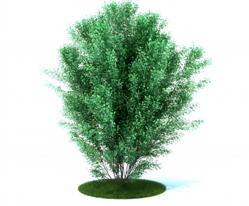 Modern Tree-ID:104159129