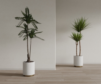 Modern Ground Green Plant Potted Plants-ID:161020869