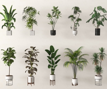 Modern Ground Green Plant Potted Plants-ID:447402956