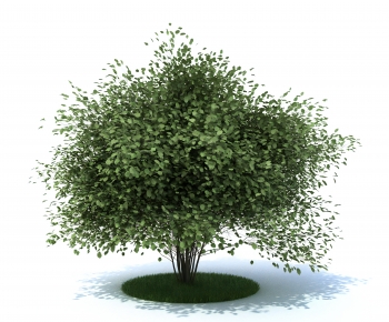 Modern Tree-ID:942739016