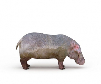 Modern Mammal-ID:357470991