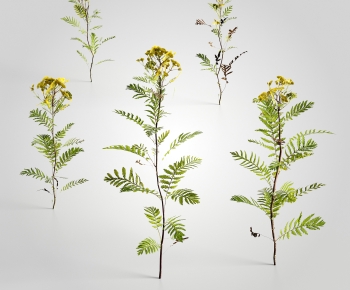 Modern Plant-ID:647645951