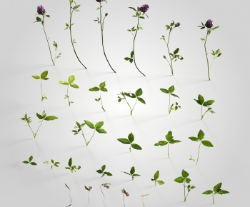 Modern Plant-ID:325022945