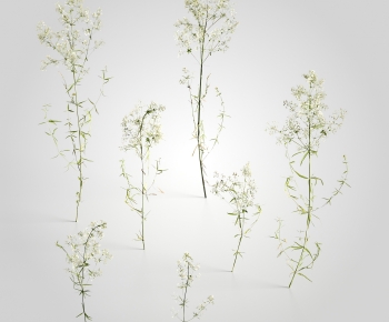 Modern Plant-ID:891602999