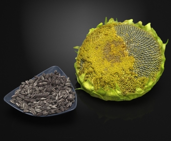 Modern Specialty Cooked Food Dry Goods-ID:575354106