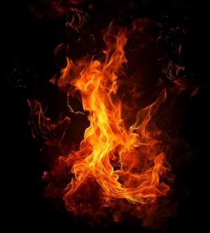 ModernNature Texture