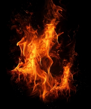 ModernNature Texture