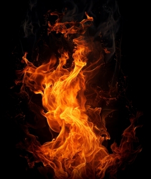 ModernNature Texture