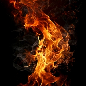 ModernNature Texture