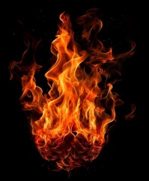 ModernNature Texture