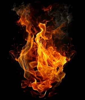 ModernNature Texture