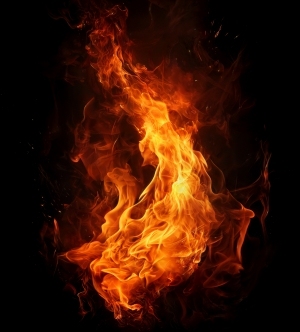 ModernNature Texture