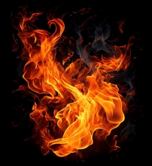 ModernNature Texture