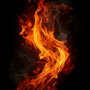 ModernNature Texture