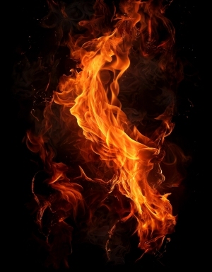 ModernNature Texture