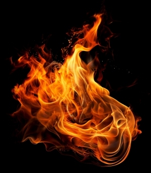 ModernNature Texture