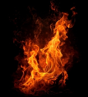 ModernNature Texture