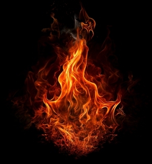 ModernNature Texture