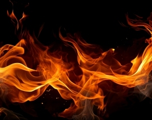 ModernNature Texture