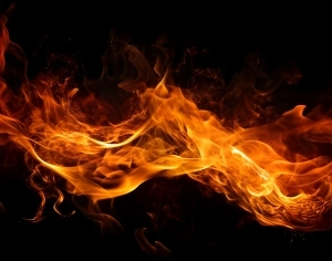 ModernNature Texture