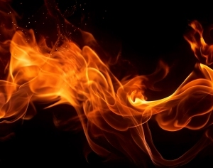 ModernNature Texture