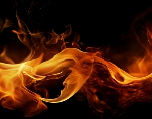 ModernNature Texture