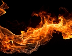 ModernNature Texture