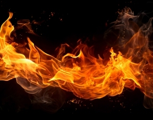 ModernNature Texture