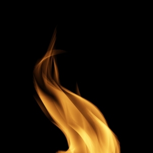 ModernNature Texture