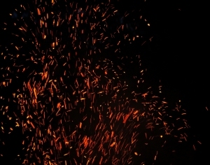 ModernNature Texture