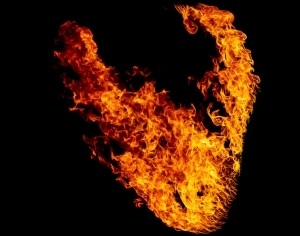 ModernNature Texture