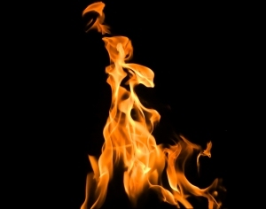 ModernNature Texture