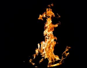 ModernNature Texture