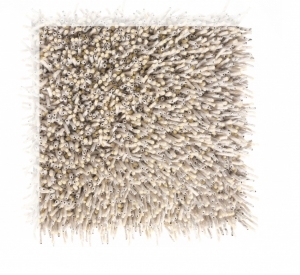 ModernModern Rug