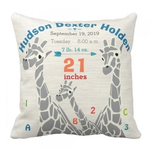 ModernPillow