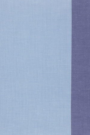 ModernFabric Texture