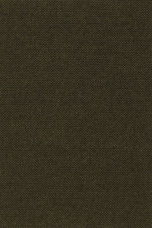 ModernWall Covering